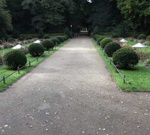 Englischer Garten