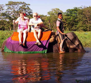 Elefantenreiten in Habarana