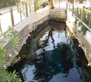 Здесь самая теплая вода
