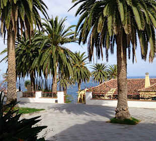 In San Andres y Sauces