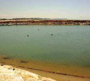 Am Hafen von Evrenseki Ende Mai
