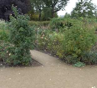 Rosengarten