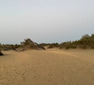 Dünen von Maspalomas