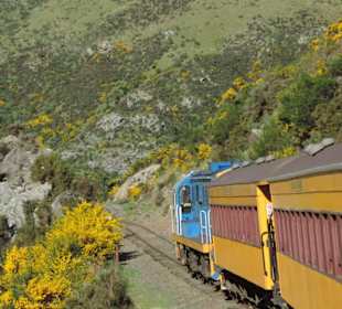 Mitder Taileri Railway durch die Natur Neuseelands