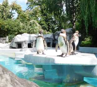 Zoologischer Garten Köln