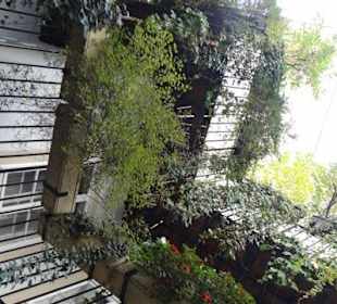 Im Blutgassenviertel