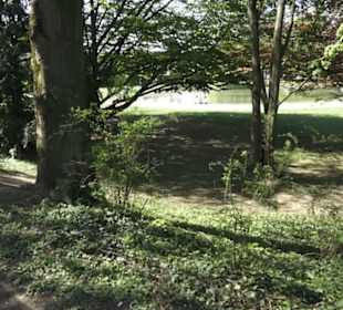 Rheinisches Landesmuseum