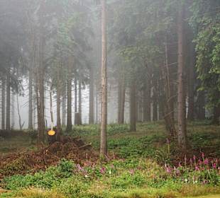 Wandern Friedrichroda