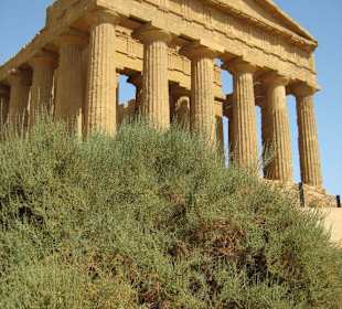 Valle dei Templi - Concordia- Tempel