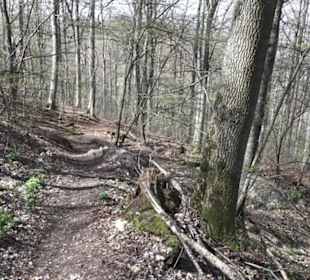 Wanderweg Hochgehkämpft