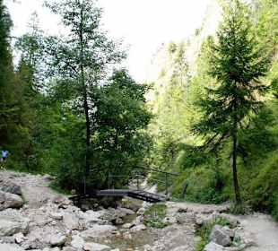 Homole Schlucht/ Jaworki-Ausflug aus Szczawnica   