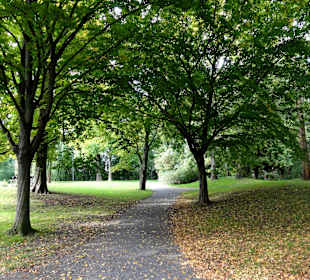 Spaziergang durch den Levinschen Park