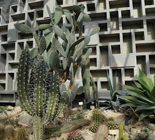 Anlage Planten un Blomen