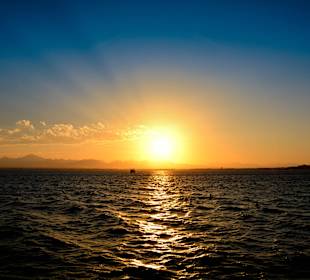 Delphinsafari mit Mo