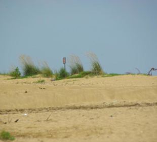 Strand von Bibione 06-2010