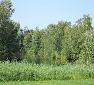 Tour durch den sommerlichen Park Links der Weser