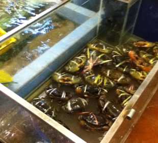 Das "Frischfisch-Depot" im EG