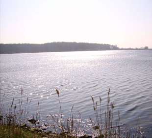 Naturschutzgebiet Geltinger Birk