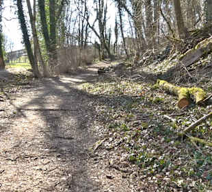 Klosterfelsenweg
