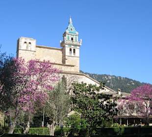 Valledmossa im Farbenrausch