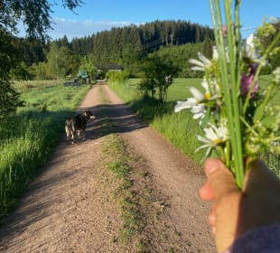 Wandern Elzach