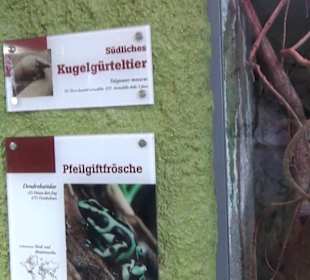 Südamerika Bereich - Südamerikahaus