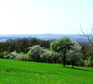 Ausblick vom ersten Drittel
