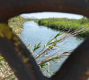 Naturpark S'Albufera
