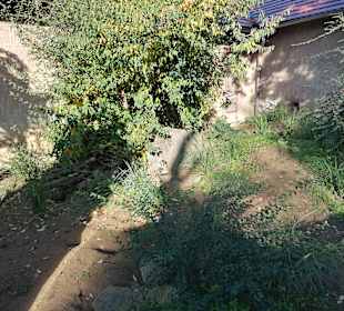 Zoologischer Garten Prag