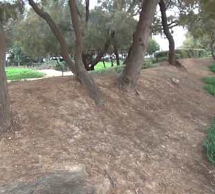 Carretera Del Arenal Balneario