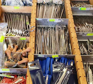 Wer Zahnarzt werden möchte