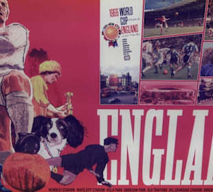 FIFA World Football Museum