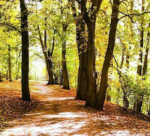 Stadtpark Königswiesen