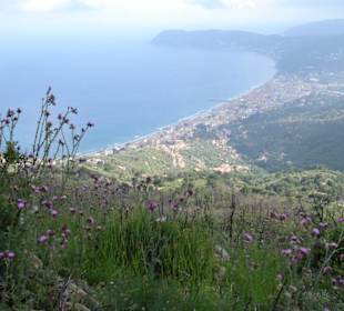 Baia di Alassio von Monte Bignone