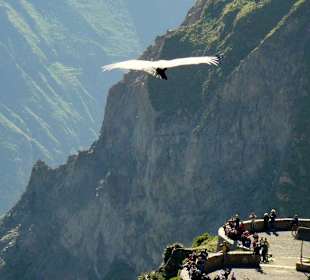 Kanion Colca
