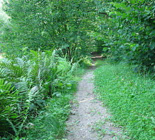 Wanderweg