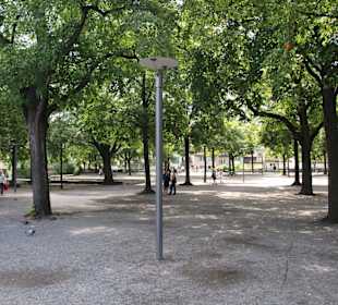 Lindenhof