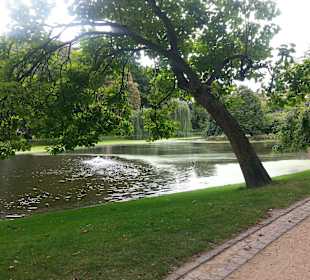 Blick auf den Weiher
