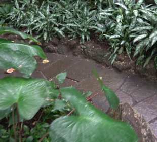 Tropicarium