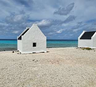 Rundfahrt Insel Bonaire
