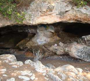 Höhlen am Römerweg