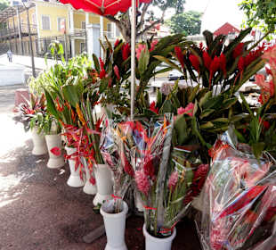 Der Marché aux Fleurs in Pointe-à-Pitre