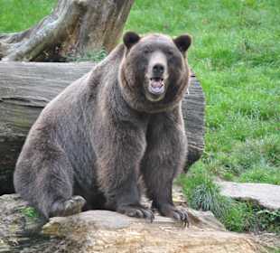 Tierpark Olderdissen