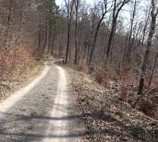 Geologischer Lehrpfad Kirnbachtal
