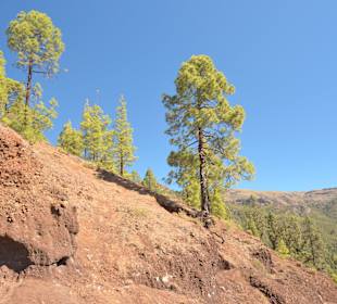 Landschaft südlich des Teide