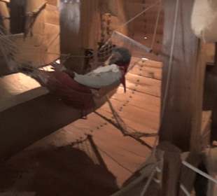 Themenbereich Portugal