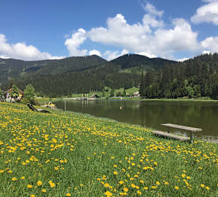Teichalmsee