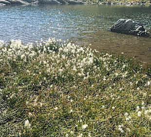 Wandern in Serfaus-Fiss-Ladis 