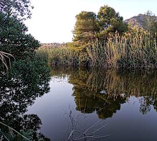 Wanderung Puig de Son Jordi