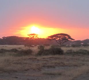 Sonnenuntergang im Nationalpark